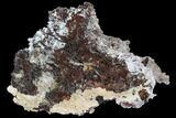 Calcite Stalactite Formation - Morocco #100997-3